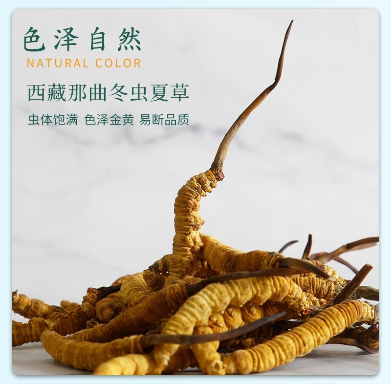Dried Cordyceps Sinensis Dong Chong Xia Cao Whole Caterpillar Fungus Tibetan Nagqu Wild-Harvested Tonic Herb for Cooking and Decoction key features