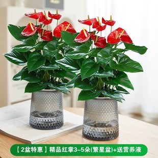 ˮ��t�����Ԏ������\���^һ���L��׻��ļ��_���ܾGֲ���҃Ⱥ��B