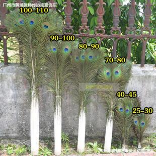 ����Ȼ�M�ڴ��۾����ȸ��ë��β DIY��ˇ�Ҿӻ�ƿ�b�Ʒ�[�O