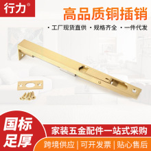 ���N�~��퓰����N6��10��48�登���T�������ز��Nȫ�ߴ��T��