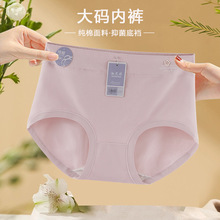 С�����ļ�Ůʿ��ѝ2025�¿��a�־��dѝ�^�������ξ���������ѝ