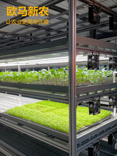 无土栽培设备工程纯水培青菜蔬菜育苗人工光ABS托盘浮板型种植架
