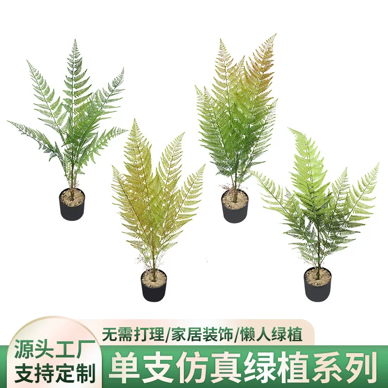 Artificial plant, ponytail, "Mountain cloud" tea, (Cross-border trading)