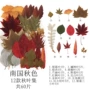 外贸热销植物压花材料包