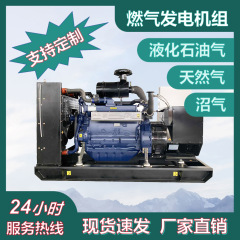 発電機セットをサポートする河南バイオガスプロジェクト 300KW 養鶏場下水処理場ガス発電機セットメーカー