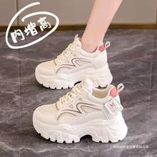 QڰԭγСЬŮ͸UվWЬ\eЬ