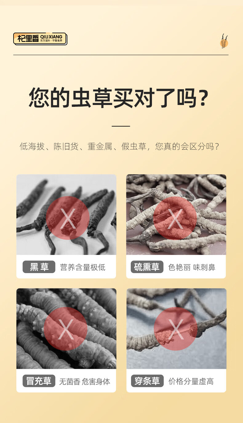 Premium Cordyceps Sinensis Dried Herb 1g Box 5 Stems Whole Fruiting Bodies for Traditional Soup and Decoction overview