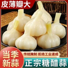 糖醋蒜头糖蒜新蒜蒜腌大蒜头咸菜泡菜下饭菜火锅同款酸甜新鲜开胃