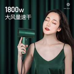 Oakes Hair Dryer for Home Use: Negative-Ion Technology, High Power, Compact Design—Perfect for Dorms, Students, and Girls