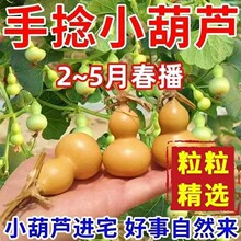 ������J�N�ְˌ����J�L����J�̨���@���J�NС���J��С����N��