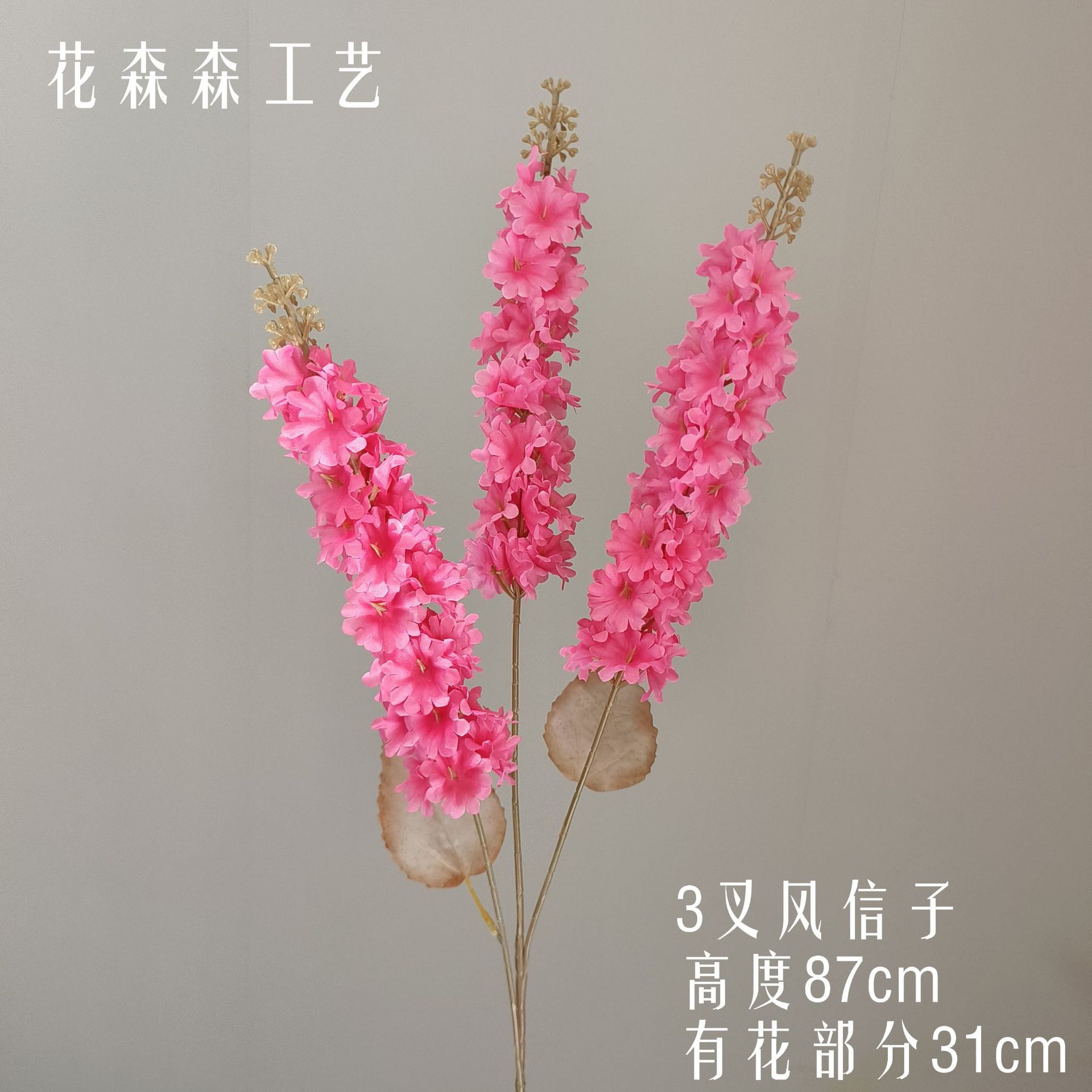 3-프롱 히아신스 133146