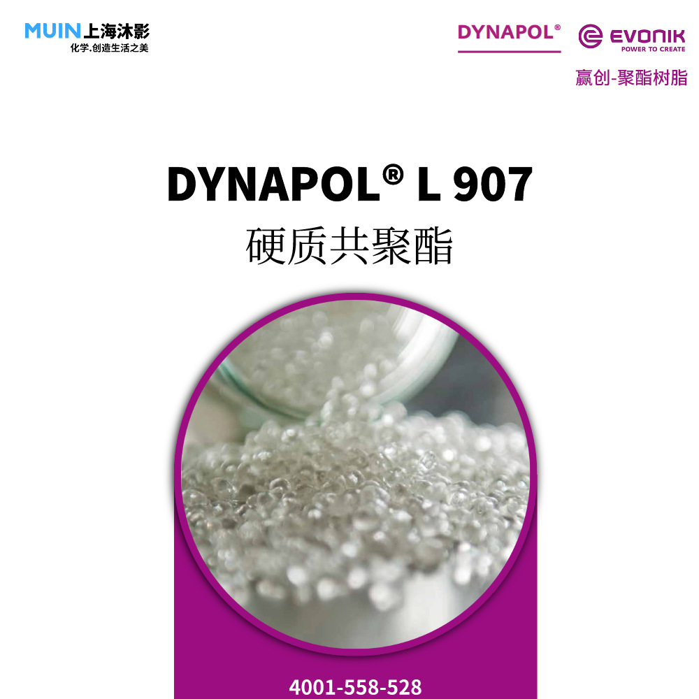 DYNAPOL L 907 聚酯树脂 |赢创 饱和 高分子 线性 硬质共聚酯