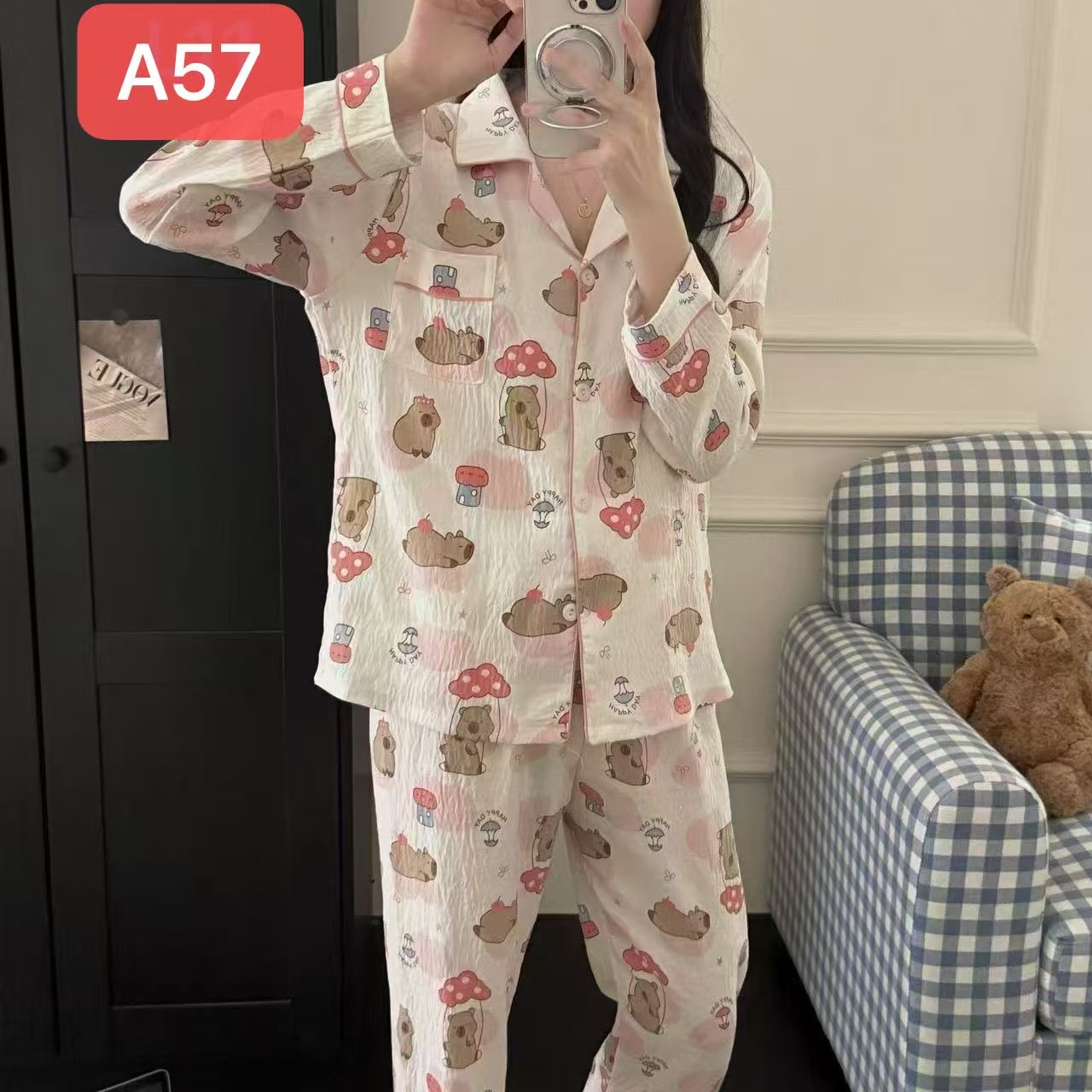 PJ2243