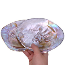 珍珠蚌壳贝壳盘天然珍珠蚌壳抛光打磨鱼缸水族造景创意摆件珍珠贝