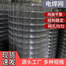 電焊網建築工地內外牆保溫網養殖圈地隔離防護網片鍍鋅鐵絲網廠家