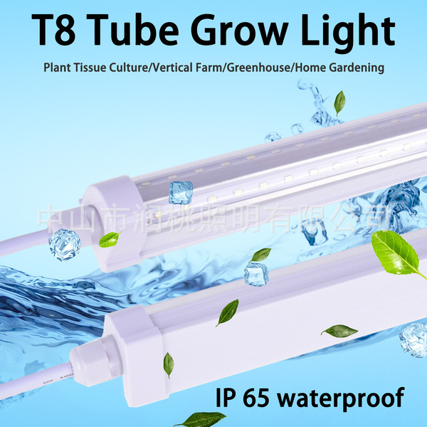 LED plant lamp