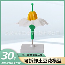 ������ģ������̌W�x��ģ�ͽ̌W��ģ�͏S�ҹ��������ģ��