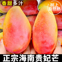 �����F��â���râ��9�����䑪����ˮ������t��������â����â5��