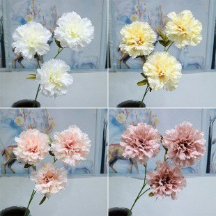 3�^ܽ�ػ� ���滨 ��c��Y���b� ���컨 �Ӽ�ܛ�b�ٻ� ���l