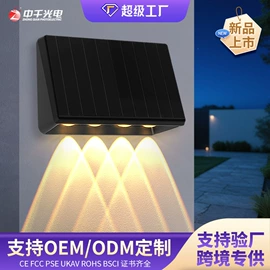 投光灯;路灯;太阳能灯