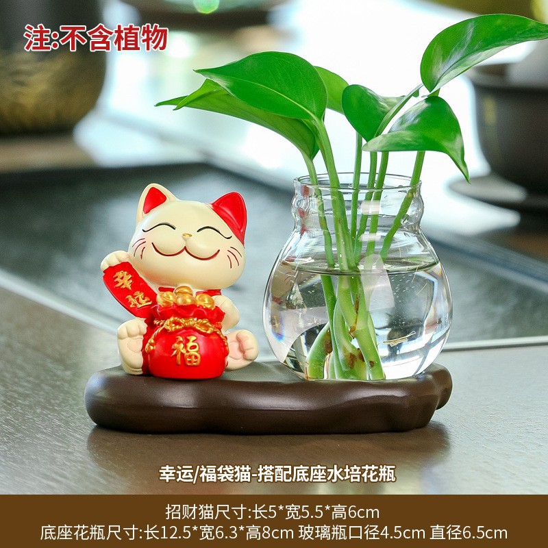 【행운】 복주머니 고양이 + 수경 재배/녹색 식물 미포함