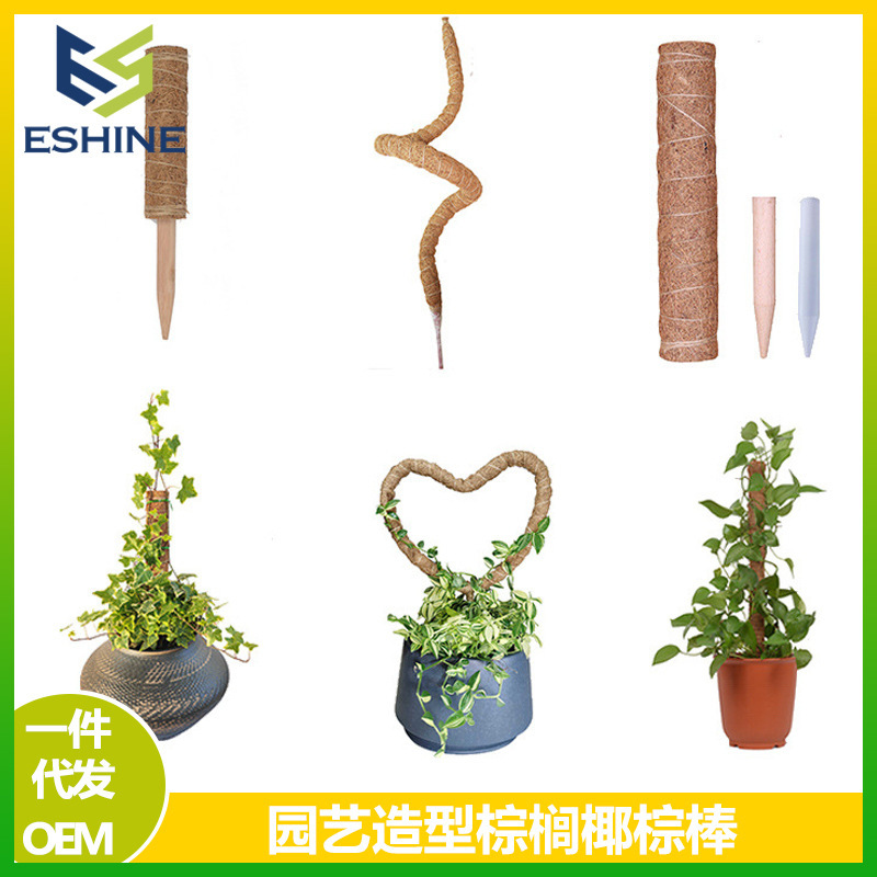 跨境龟背竹支撑杆苔藓杆绿萝植物攀爬水苔柱可弯曲园艺棕榈椰棕棒