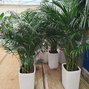 ���;Gֲ���Ը��FҬ�Ә�͏d�·�ϲ�c�ͺ����Bɢβ���k�������