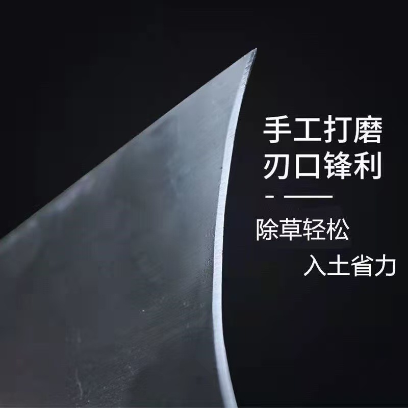 微信图片_20260120134439_15_83.jpg