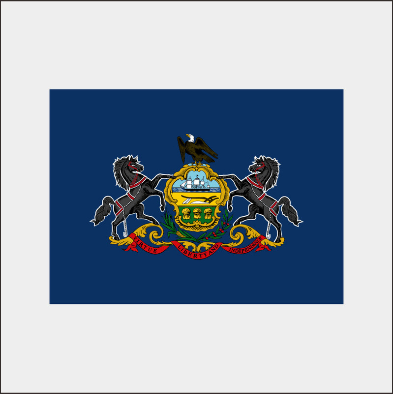 temu跨境货源户外美国州旗Arizona CaliforniaTexas flag工厂批发|undefined