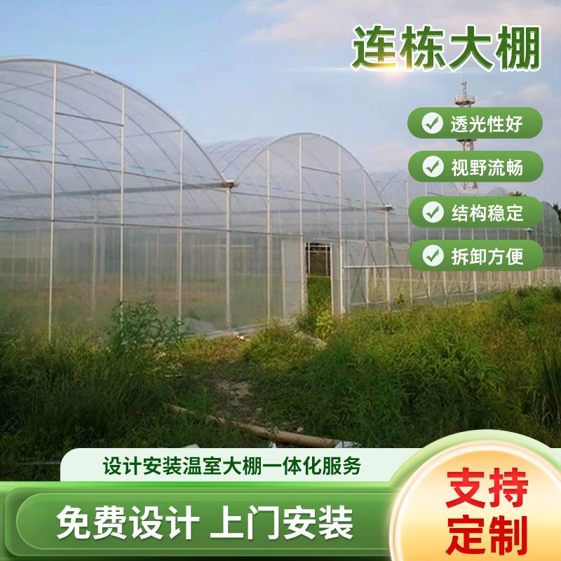 Садовая клубника черника сельское хозяйство