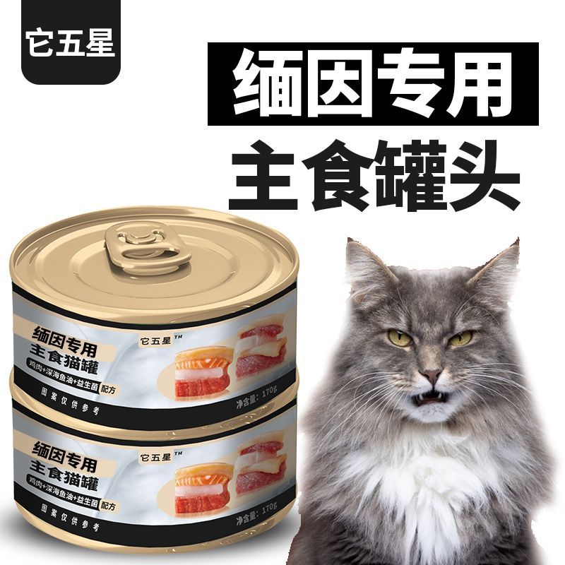 Special staple food for Maine Coon cats