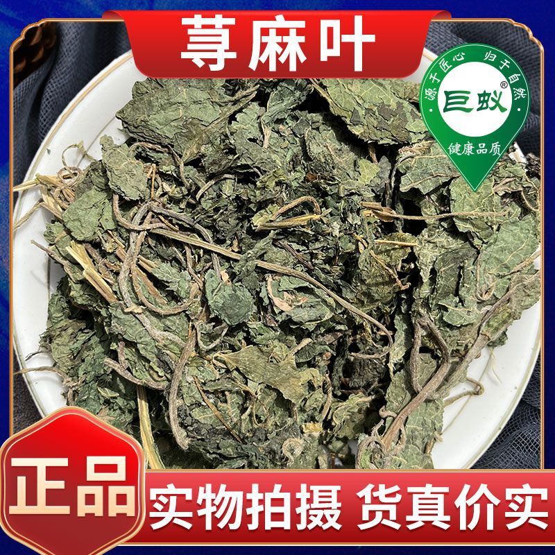 500g of Nettle Leaves Chinese Medicinal Herb, Nettle Leaves, Hemp Leaves, Small Nettle, Small Snake Hemp Grass, Biting Grass, Genuine Nettle Grass 500g of Nettle Leaves Chinese Medicinal Herb, Nettle Leaves, Hemp Leaves, Small Nettle, Small Snake Hemp Grass, Biting Grass, Genuine Nettle Grass