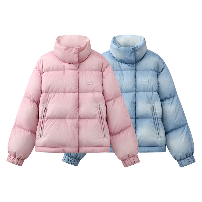 2025 New Winter Women's Clothing Liu Haochen's Same Style Work Clothing Simple Style Imitation Water down Jacket 3J4K260