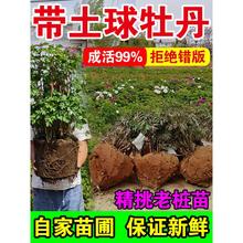 ���ĵ���������Ϙ����������N��ĵ�����Gֲ��������������ș����