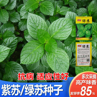 ��ʳ�þG�K�N���߲˷N�ļ��K���~�N�ѾG�K���̨���ԾG�K�߲˷N��