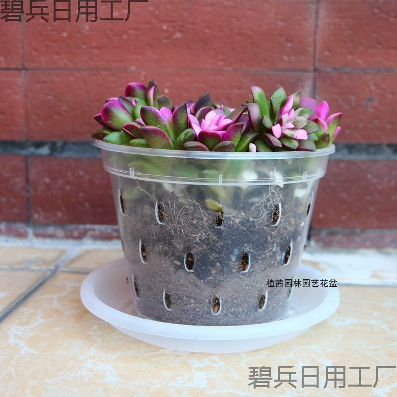 Прозрачный горшок для орхидей в форме капли дождя, материал высокого качества, дышащий горшок для выращивания корней Phalaenopsis.