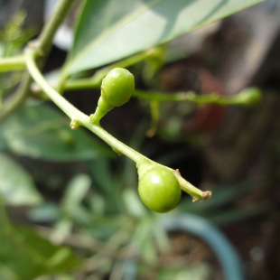 ҹ����N�������̨ҹ�㻨�N����ú�ҹ�m��ҹ����ǧ����N��