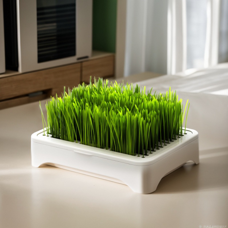 Cat Box, Cat Snacks, Hydroponic Set, Hydroponic Catnip, Self-Grown Hair Removal Ball, Cat Supplies Manufacturer