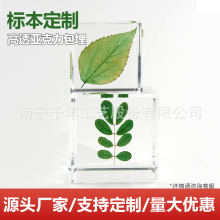 绿植标本包埋定制干花种子中药茶叶标本展示亚克力透明树脂纪念品