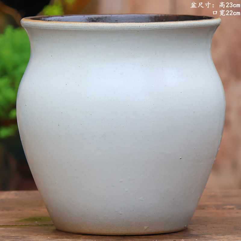 大口径グリーンダルシム多肉植物オオバコ紫大万百クリエイティブ陶器ポット粗い陶器砂土陶器ポット植木鉢大型レトロ|undefined