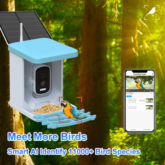 5MPインテリジェント給餌器カメラ卸売りAI識別10000種類の鳥類太陽エネルギー電力供給屋外防水