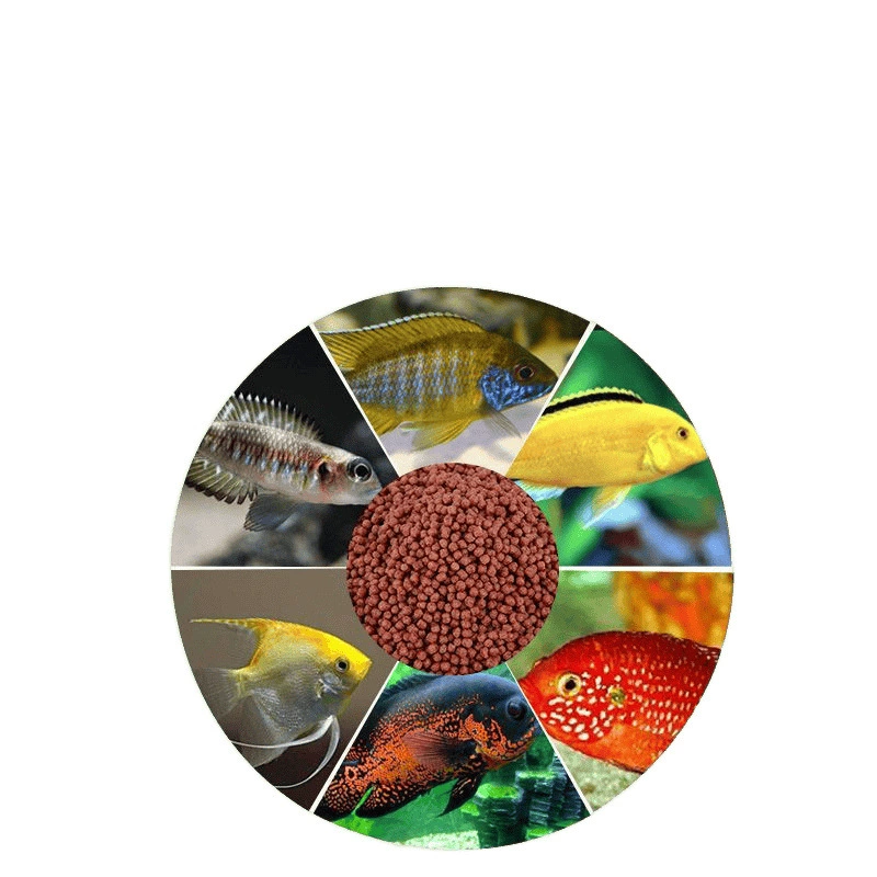 ทั่วไป ornamental fish, grain, koi feed, small goldfish, household floating small particles