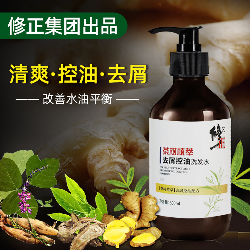 修正茶树植萃去油去屑洗发水洗头发老姜生姜清爽型修护发根洗头膏