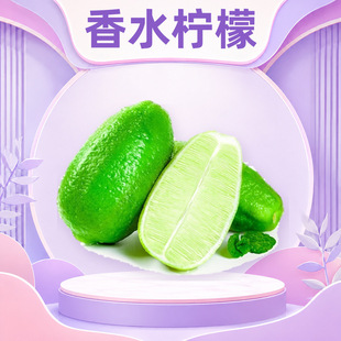 �����ˮ���� ���l1/2/3/5/9���ӏ��^������Ʒ����ˬ��֭���rˮ��
