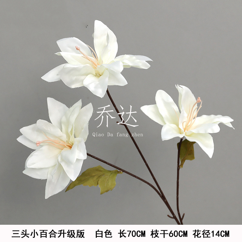 Lirio de tres cabezas