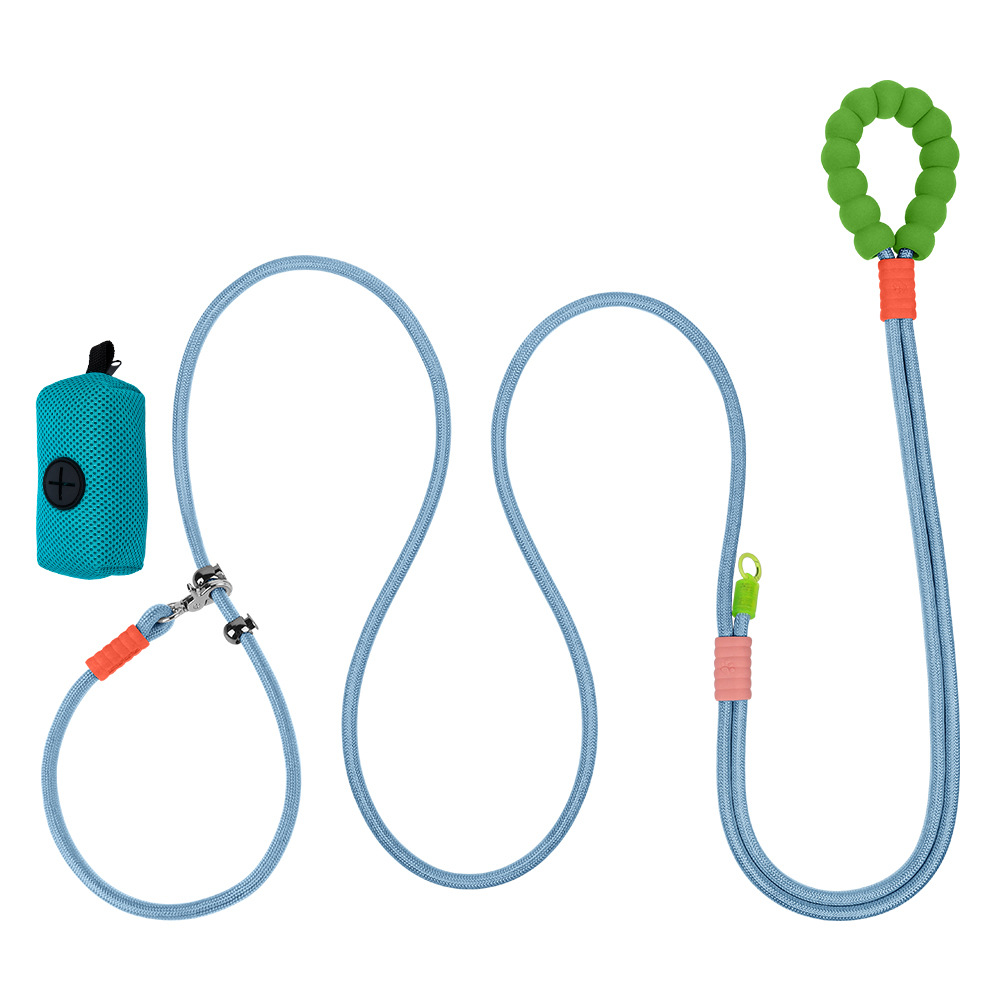 블루 컬러풀 + 강아지 가방