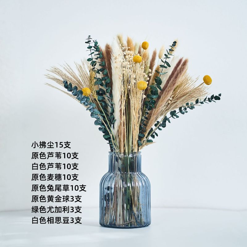 アマゾンはよく売れています。葦の花の花束です。|undefined