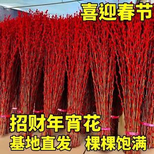 �y���滨�͏d�ɻ��[���tɫ��������ˮ��ֲ���҃ȸ�֦�t���r���Gֲ