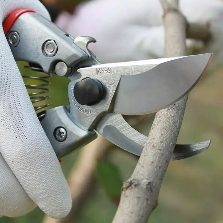 爱丽斯ARS修枝剪 修枝剪果树修花手剪 VS-789XZ园林园艺工具剪刀