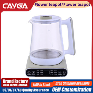 Cross-Border 110V Health Pot, Us Standard Household Decoction Pot, Smart Glass Kettle, Herbal Tea Maker, Soup Cooker, Taiwan